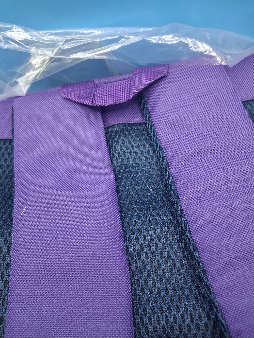 Purple Backpack with Brown Trim and Skate Graphic